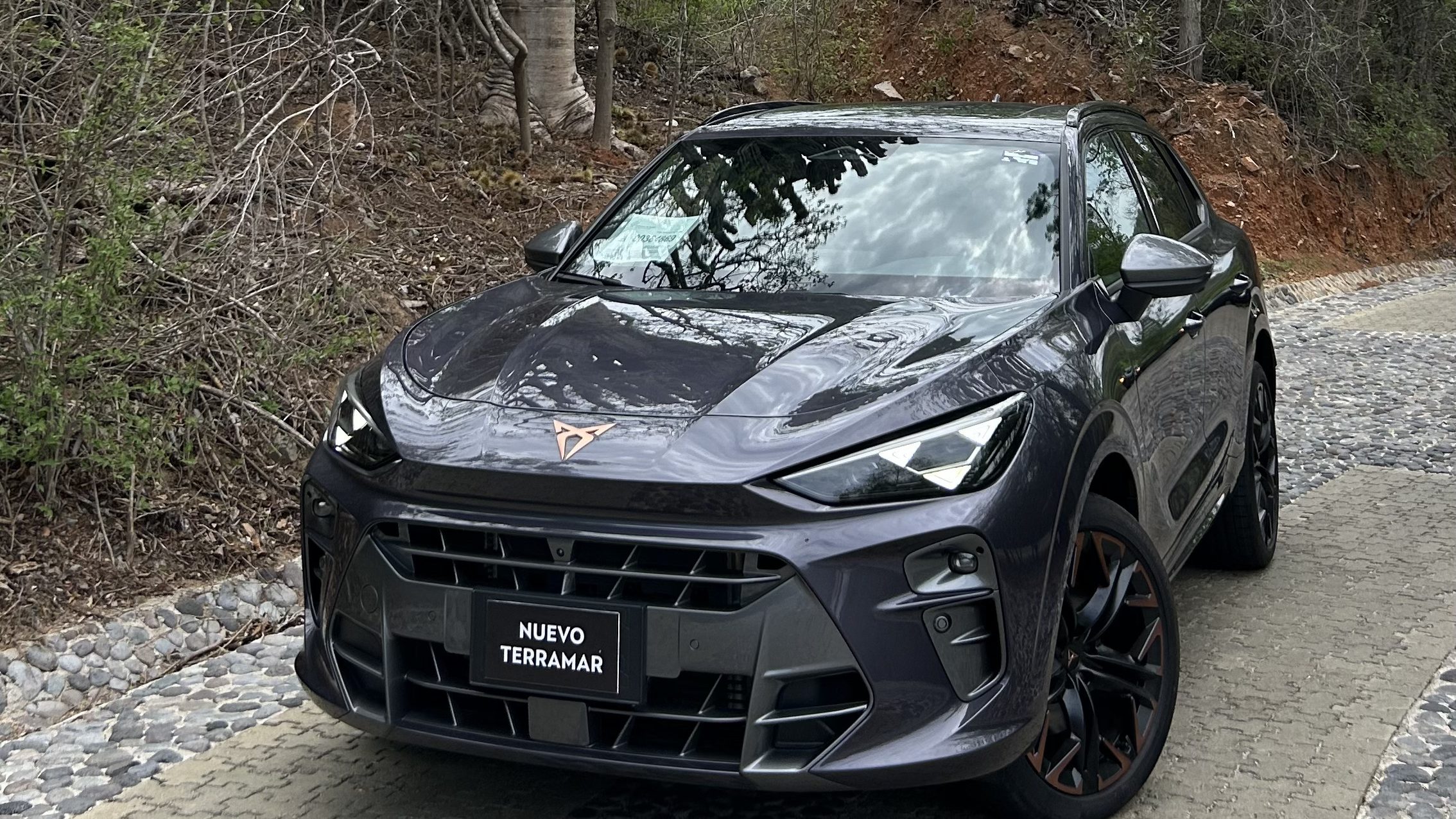 Cupra Terramar México