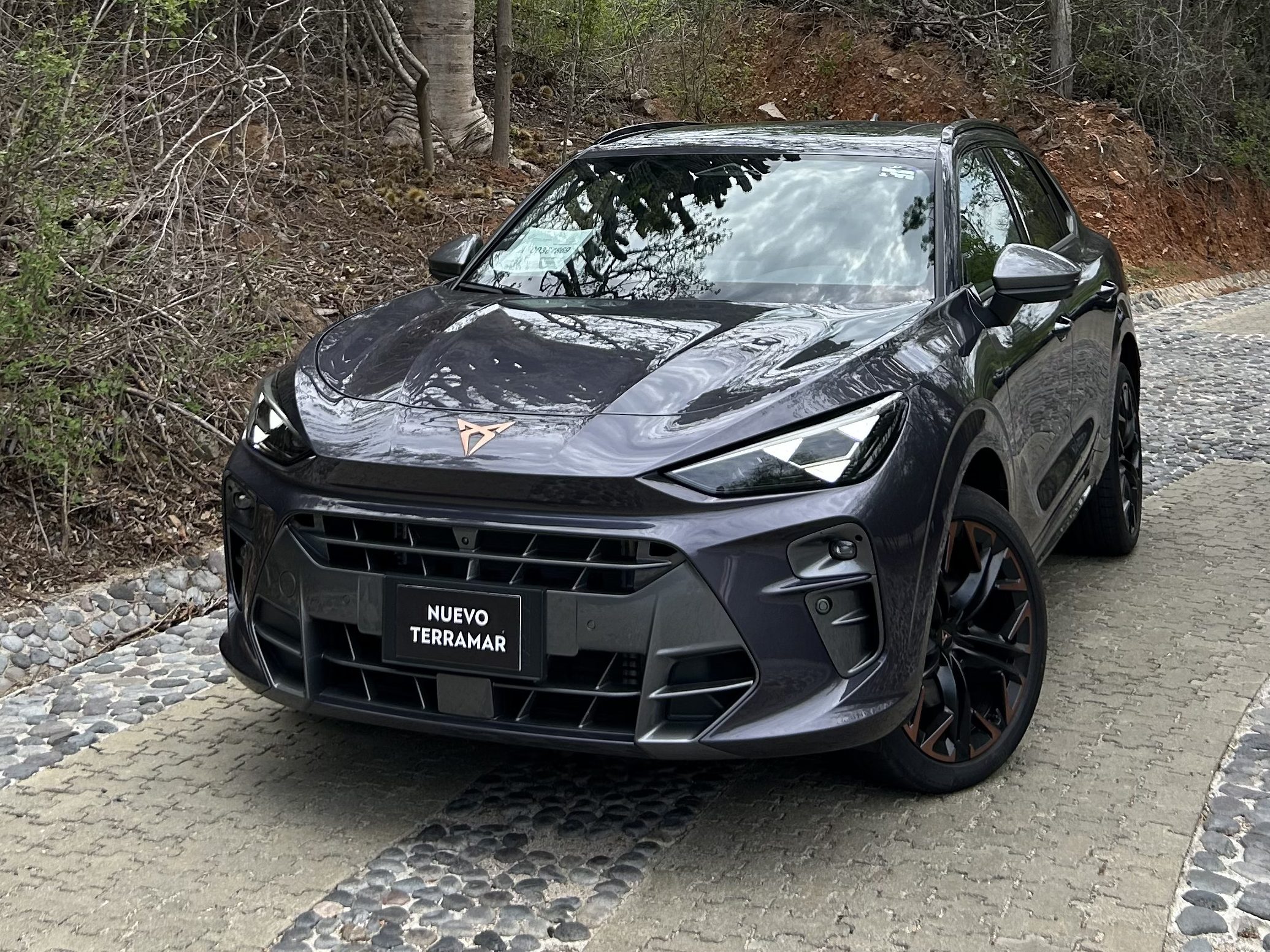 Cupra Terramar México