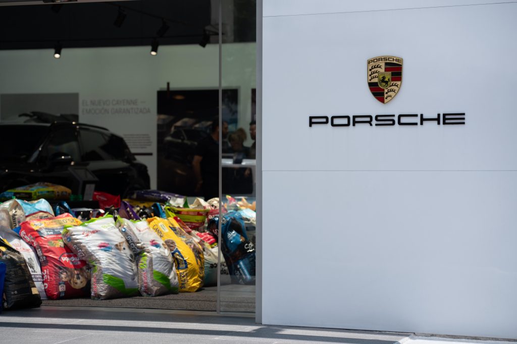 Día Mundial del Perro en Porsche