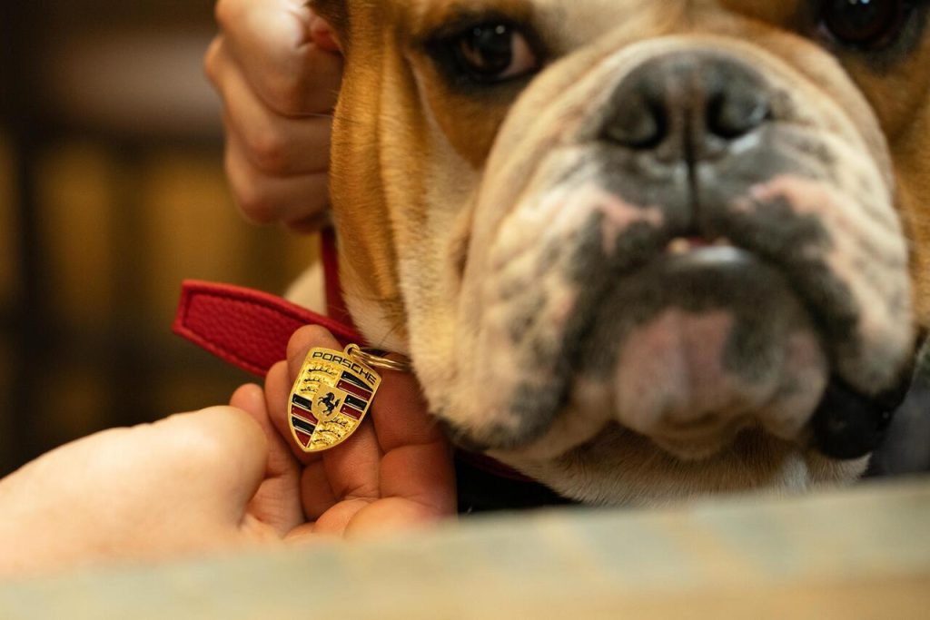Día Mundial del Perro en Porsche