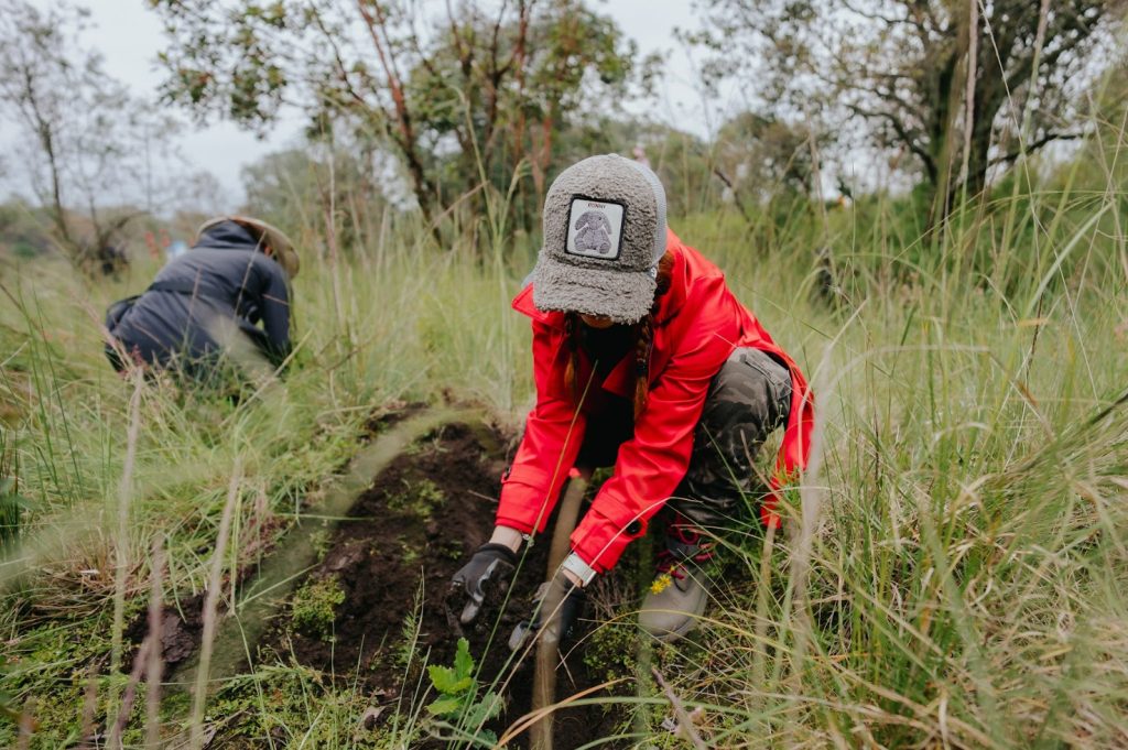 Geely Pronatura México