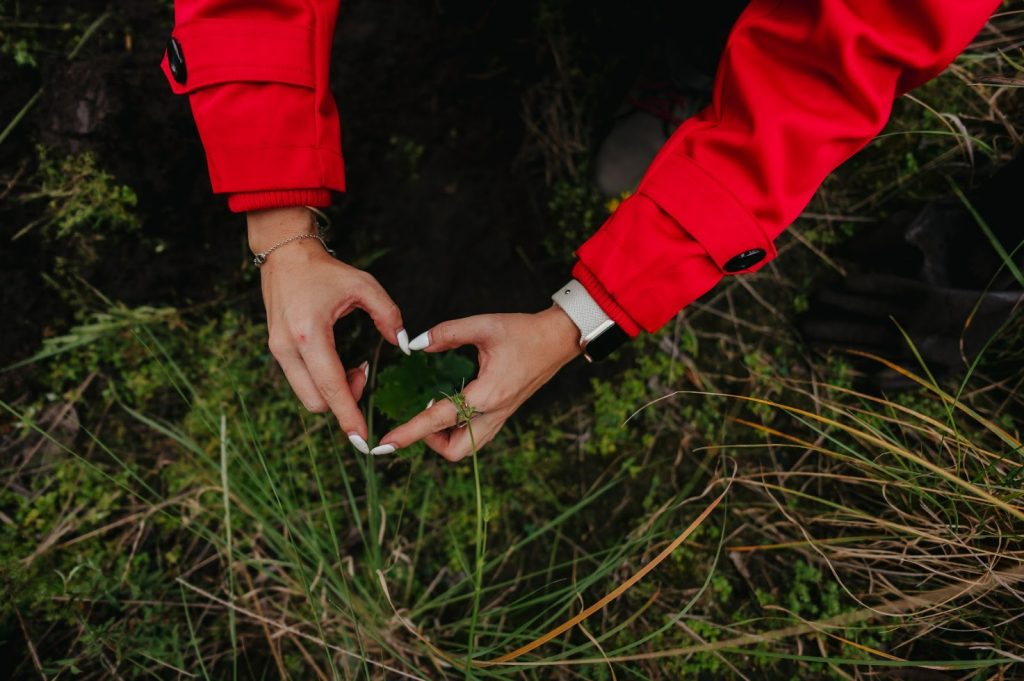Geely Pronatura México