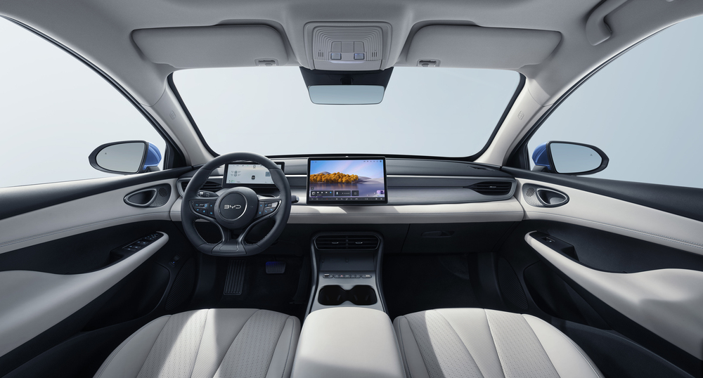 interior BYD King