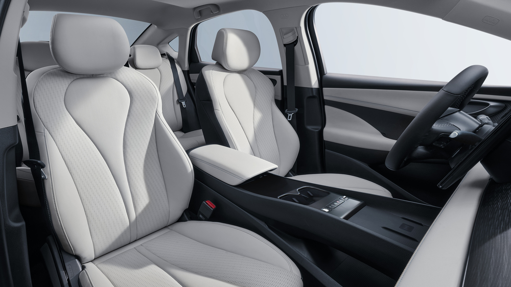 interior BYD King